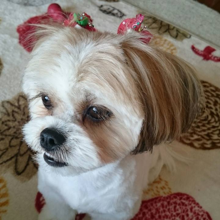 B8346fc9 55b1 44bb b02b b8a6e9428f33