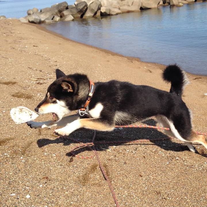 B83470eb 5f94 452f b023 b5e6d1e163b0