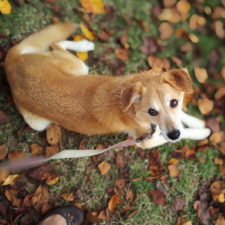 B83483af e1ff 4e34 83f9 c5e8bc850d91