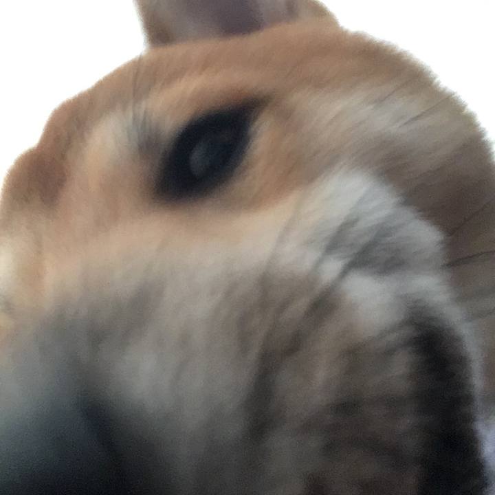 B834bd53 7590 4d65 bc63 6a52875c7c2c