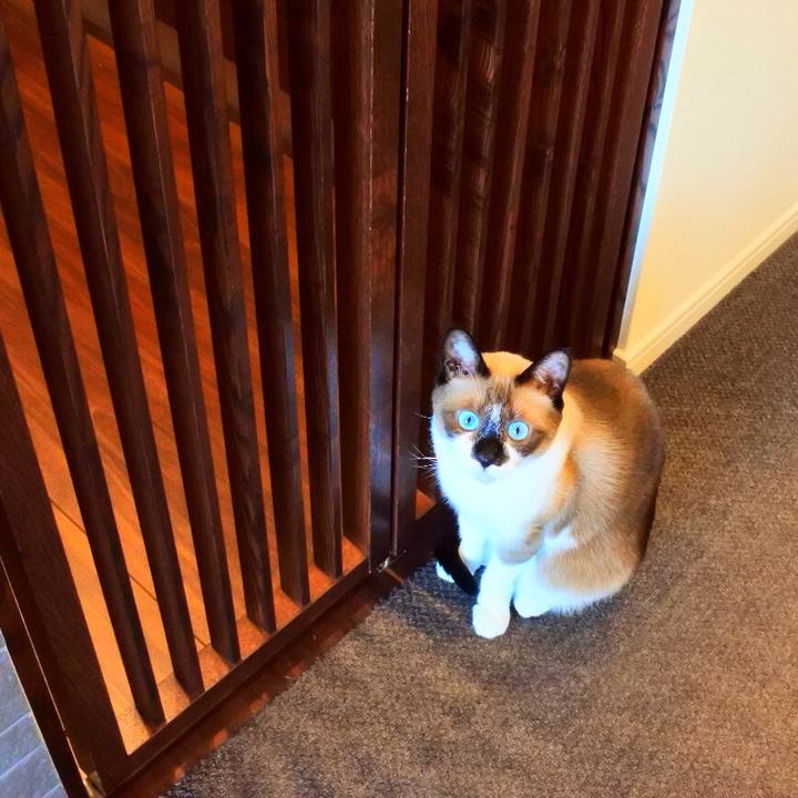 B834fc64 becb 47d7 9f4f 94d0c8c6cb5c