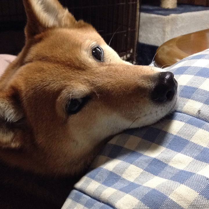 B8351211 d311 4384 89e9 e7ee815d0197