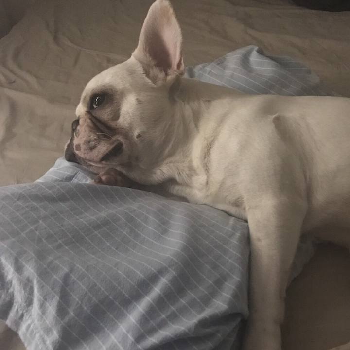 B835556a dba2 41c8 90a9 a9011a53df76