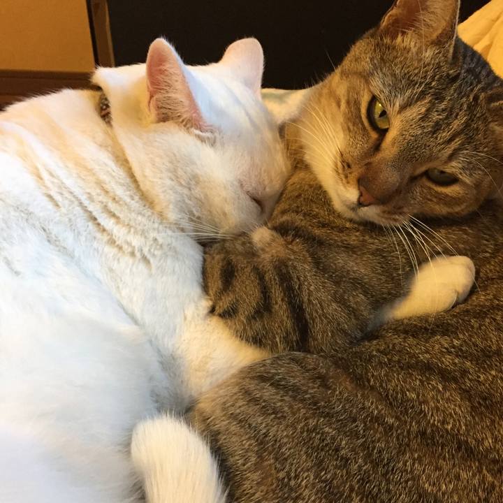 B835cfb7 008a 4d5b b465 25de34f503ac