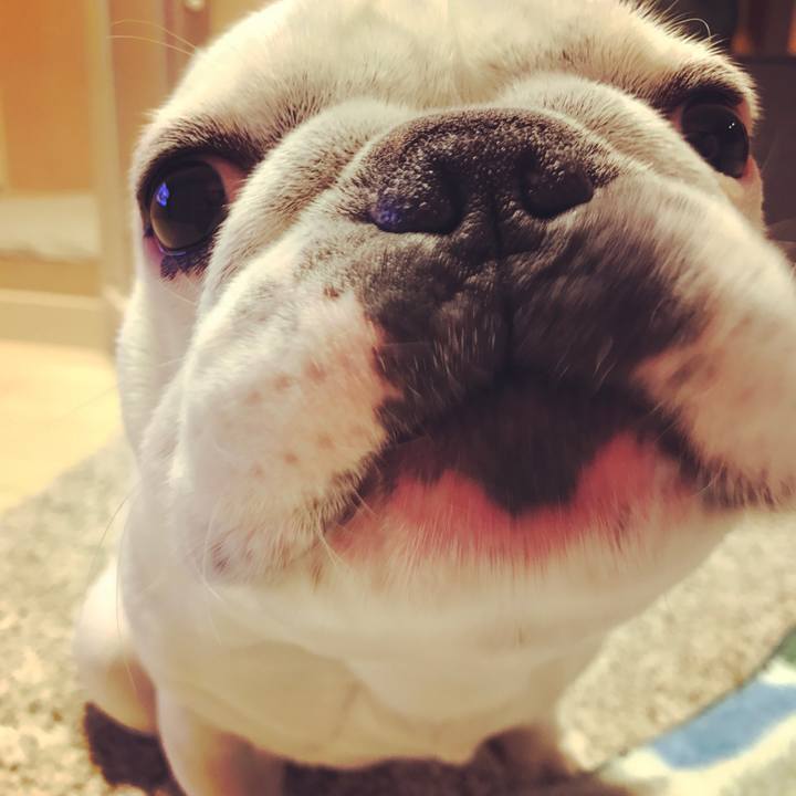 B835dcae 1eb2 482e ad3b f9b2047f0aa2