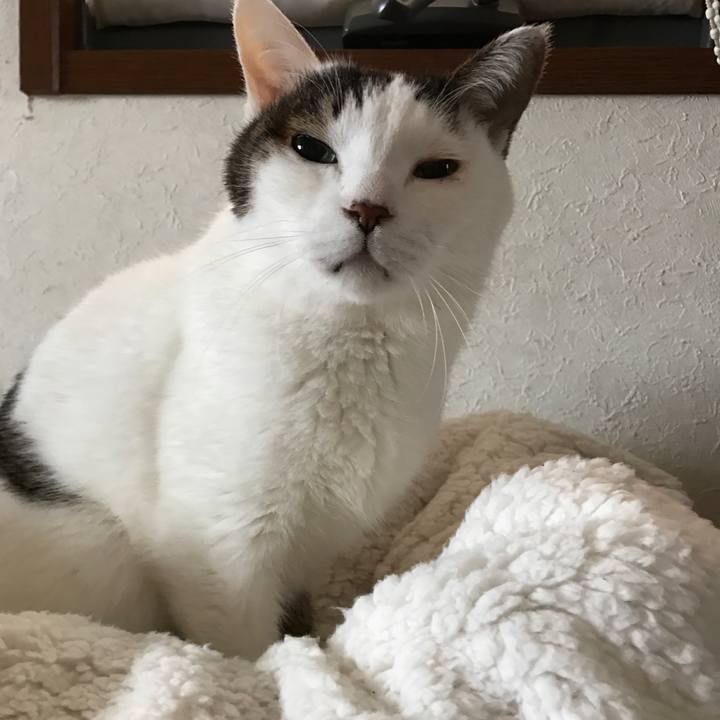 B836283f 291c 4aab be24 67db7c0ebe80