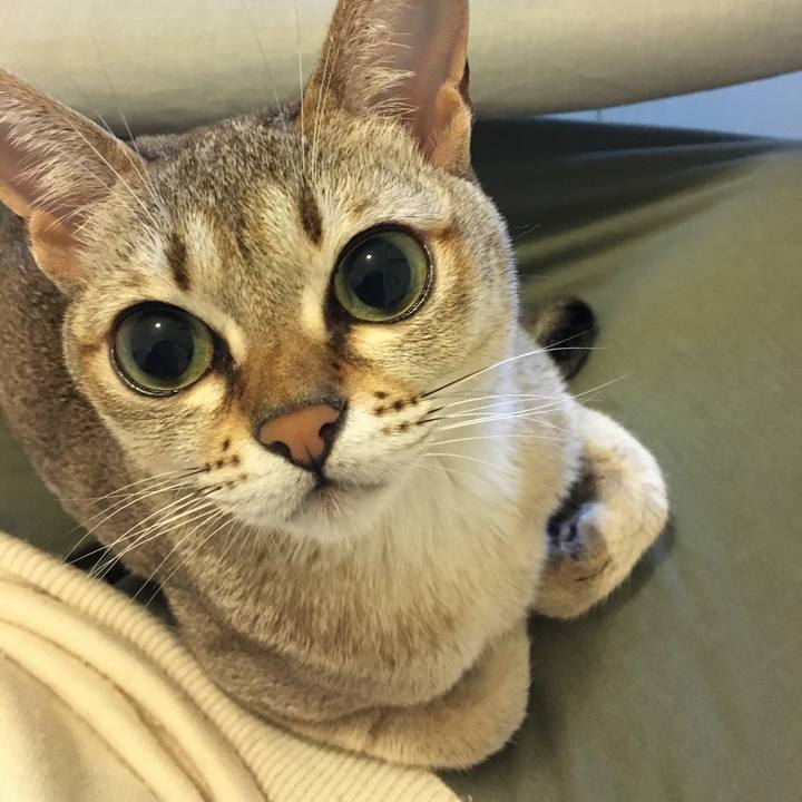 B8369b79 25d7 4a33 b150 9c732c77faf0