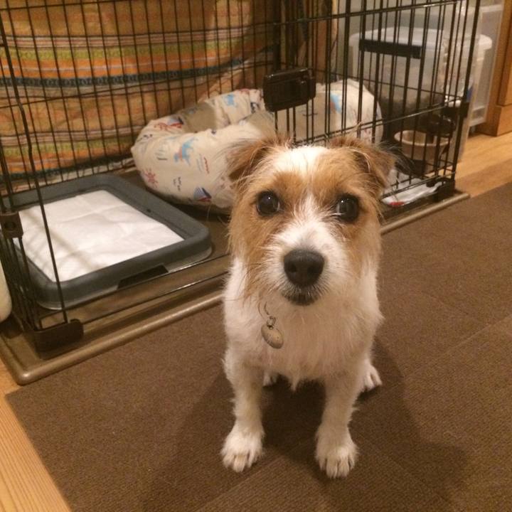 B836b139 f015 4813 babf 44dd9d5df462