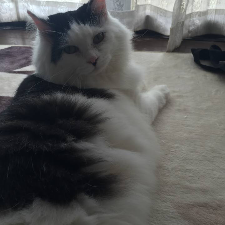 B836f8ec 95cc 45be 9ffc 82426efdae5b