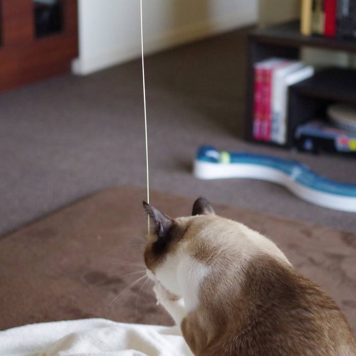 B8370dad bbf6 4b2e 866e 47db62ad2635