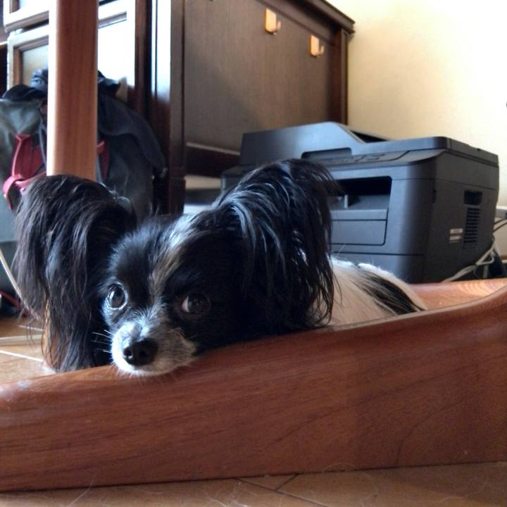 B837426f e6db 4eaf b804 dc791738315e