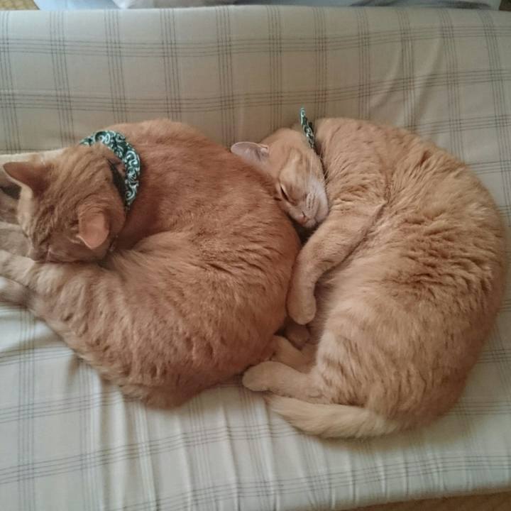 B8375915 be3a 41cd b3f9 391d223a36c2