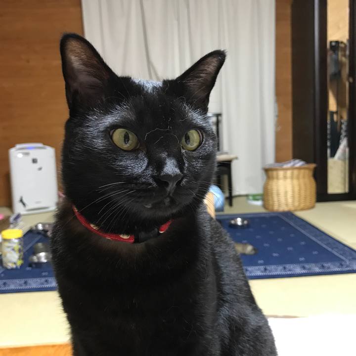 B8386dfb 1315 4f1d b4f4 df1c3df27af7