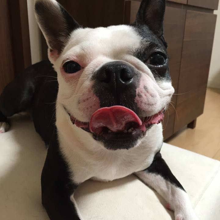 B838b6bc d3ef 44d0 b956 3267f6eae2d0