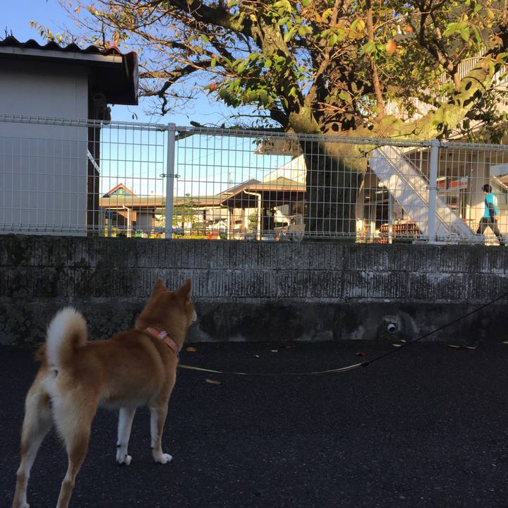 B8390c53 d95c 4c10 ad26 edd589256fc5