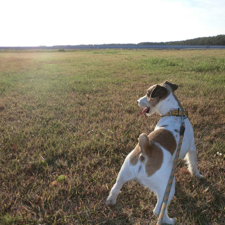 B839389d 4f67 44bb 9240 cd17ba60d74c