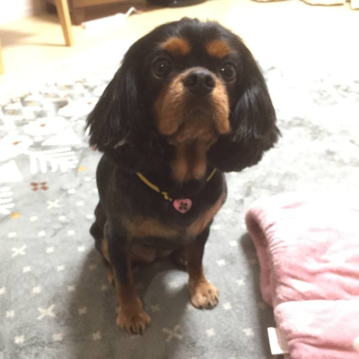 B839b4a0 b413 4861 b73f d92490e469f1