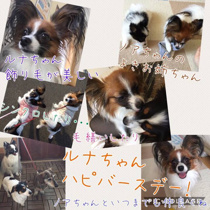 B83a006d ab51 4fd4 b6bd 8190501182b3
