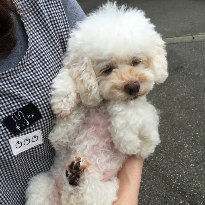 B83a48f5 9272 4da3 91d9 830b89b436bf