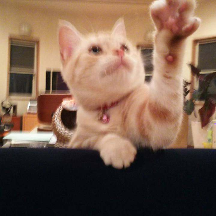 B83a4f11 defe 4b69 b46b 0d4496ec1043