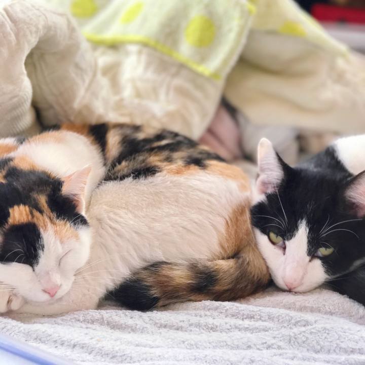 B83a8380 1ace 47ec ab8e fb49e6153feb