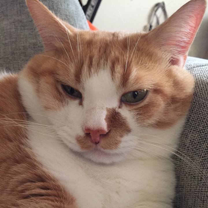 B83ae7a0 d7bd 47cc 92f5 0b0a08e49d9c