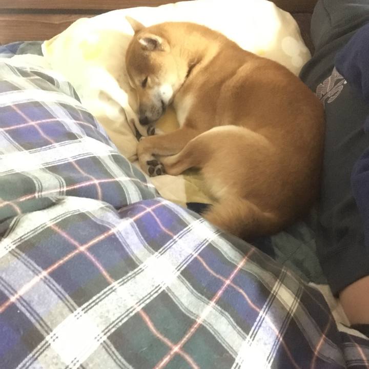 B83b1f16 bc63 4771 9bb4 2ef9a1e7382c