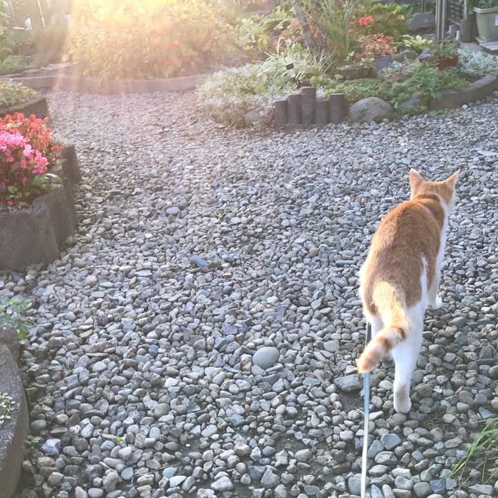 B83b2223 b6cf 4dc6 a72e ea99727fbeb9