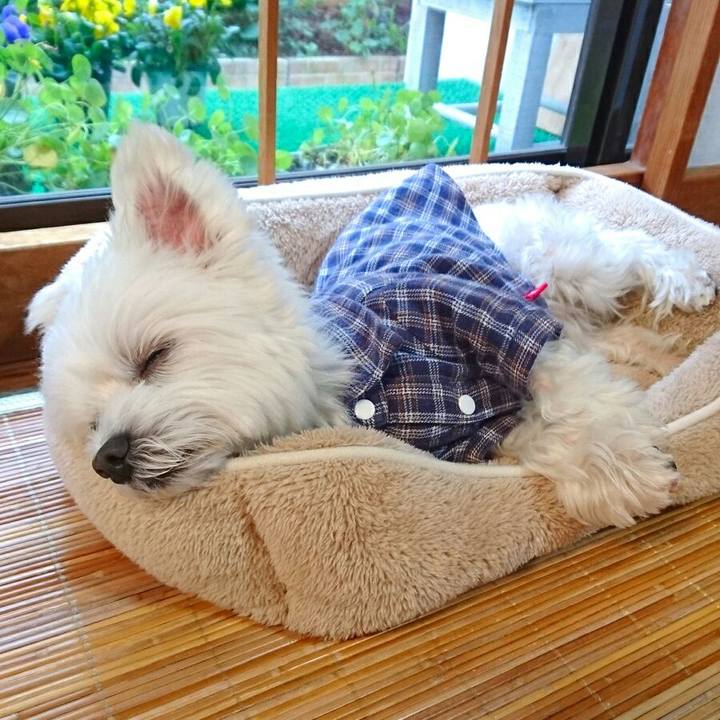 B83c010e fb37 4cb0 ac82 32ef5875b3f4