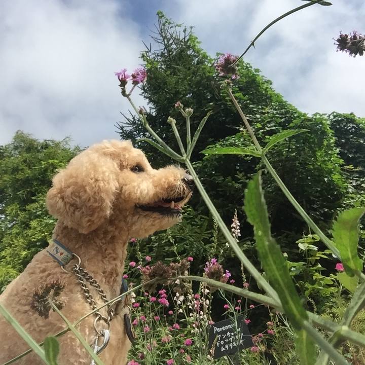 B83ca94a e7ca 409d b2bc 53cf2f0c2b0b