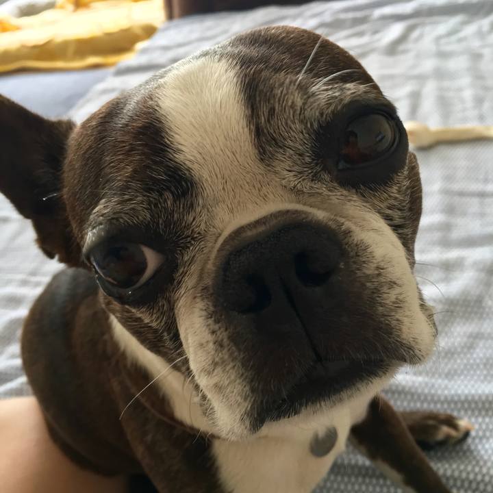 B83cf59e 8017 4c6a a074 4d9afa4a857b