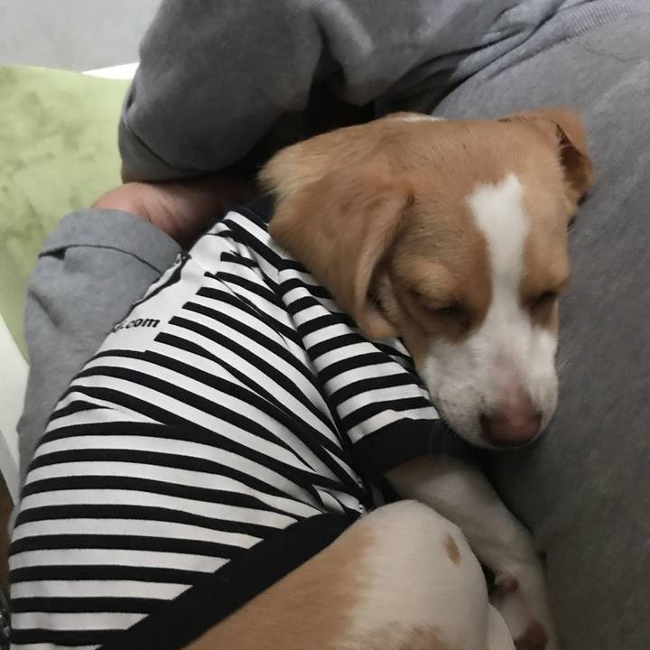 B83d9c83 bcaa 4067 b38b 9e2ed1493d3e