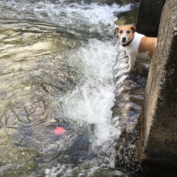 B83df70b 56a9 40c3 8a8f 4ff7b1e6fd87