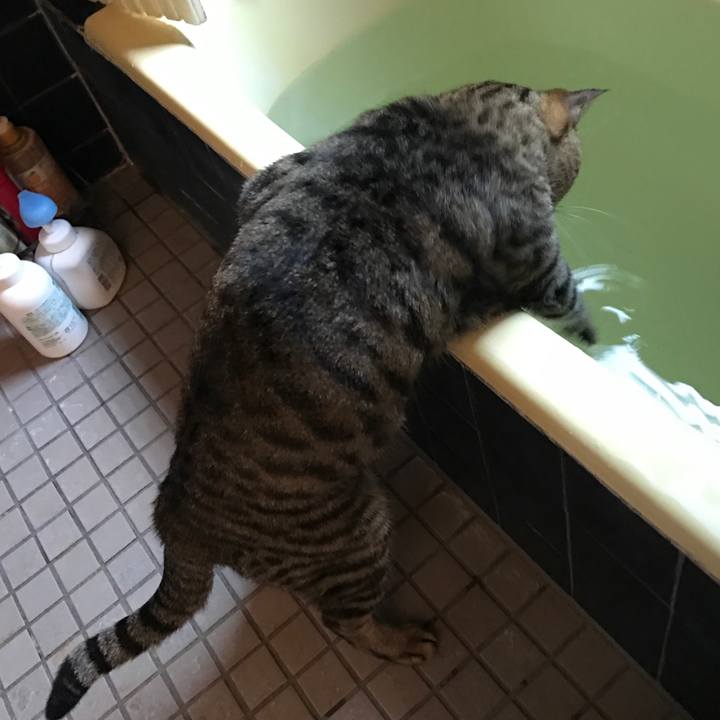 B83e3372 b250 4127 b8af ac75e0a2fd82