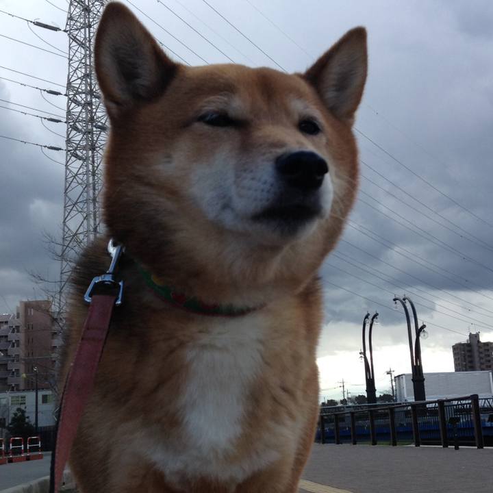 B83e84ee a145 494e be02 b3a9c7e21521