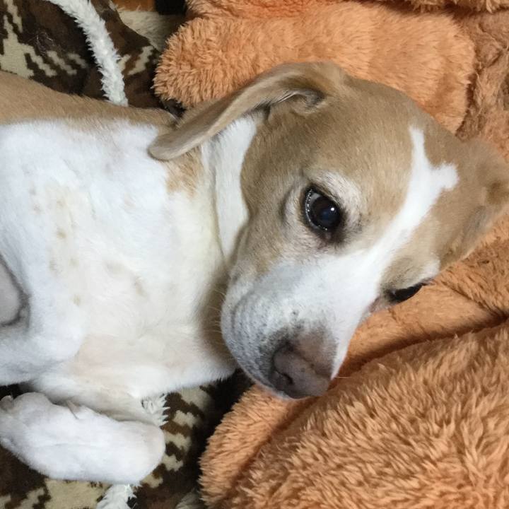 B83f1a17 6816 422b 8525 bf763f462515