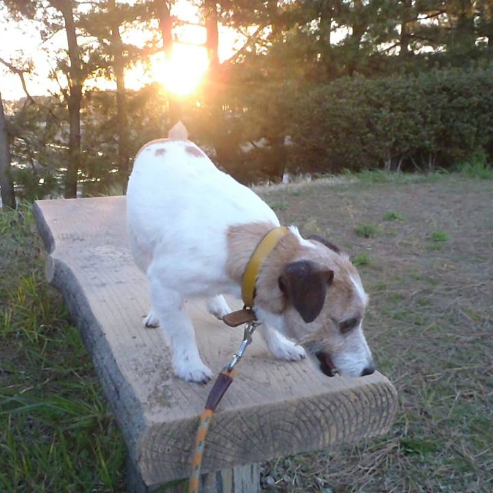 B83fa78f 21be 41ba aab7 ce40855ad247