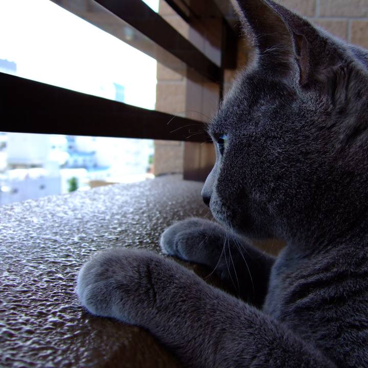 B83fb056 885f 43a3 a710 b957eee1a17c