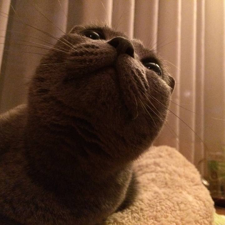 B840927f 7d3f 4b2e b685 64a5c2b9bce2