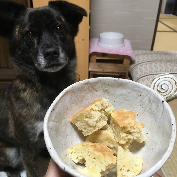 B8410d7e af53 49c0 8058 88123f728486