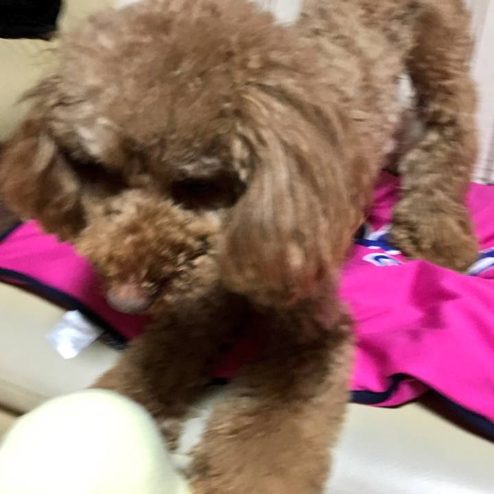 B8413adb 4060 4658 9620 cf65032cf14e