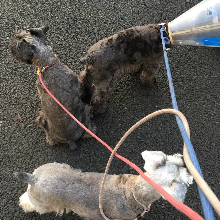 B841817f 09cd 440b b3ce 7b811ababbcd