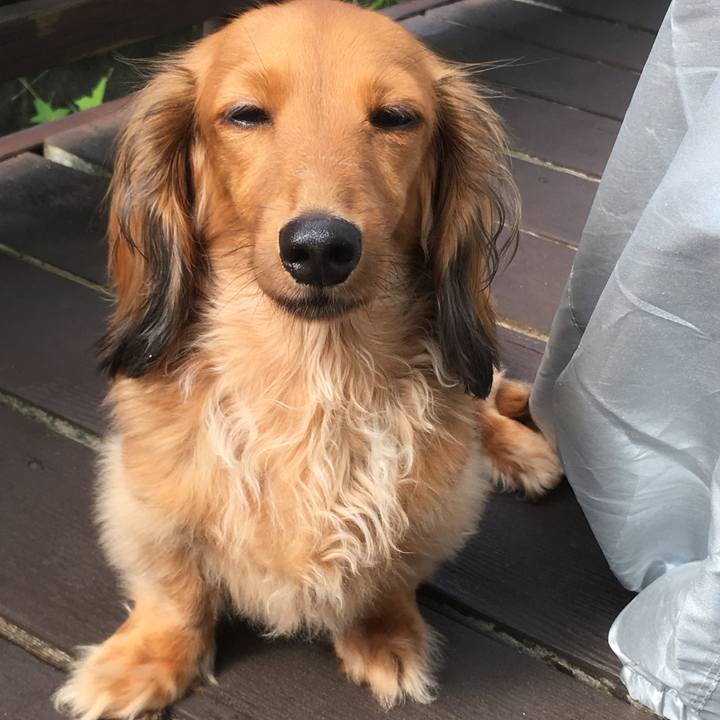 B841ff1c 5b89 4a72 a6b4 58d026b36a5b