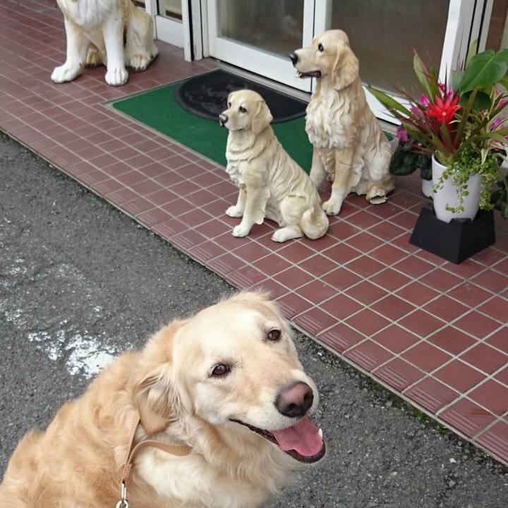 B8421197 d427 43e4 a80d c6cd75f7e116