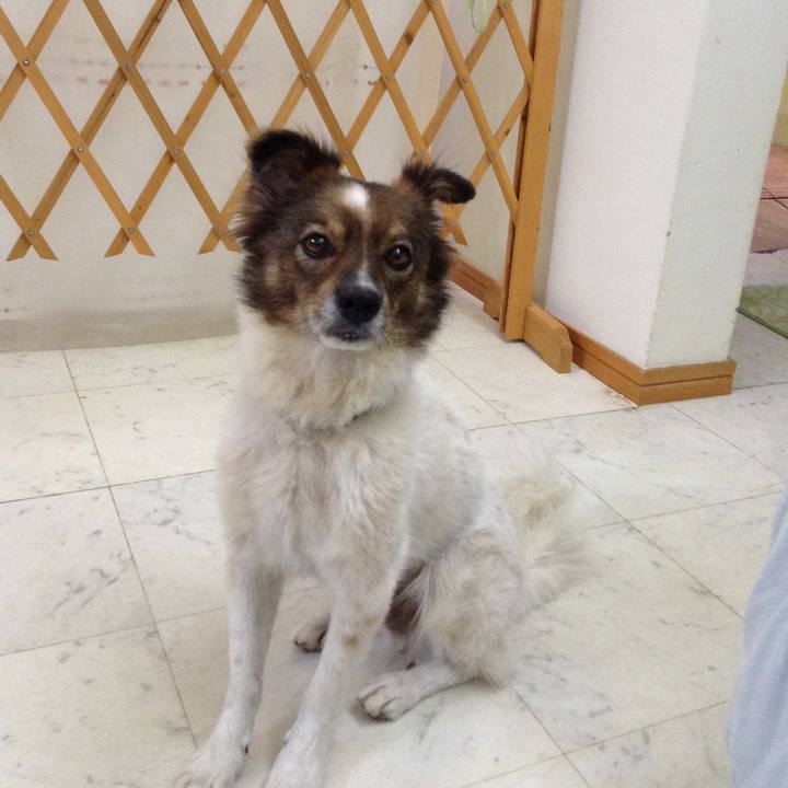 B8422a2b fa19 4daa 9d4e 7e565d5bd79e