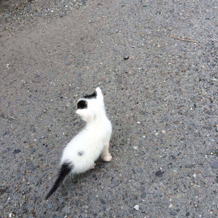 B84299fd 02c0 4229 913b bc9a9d7c31f1