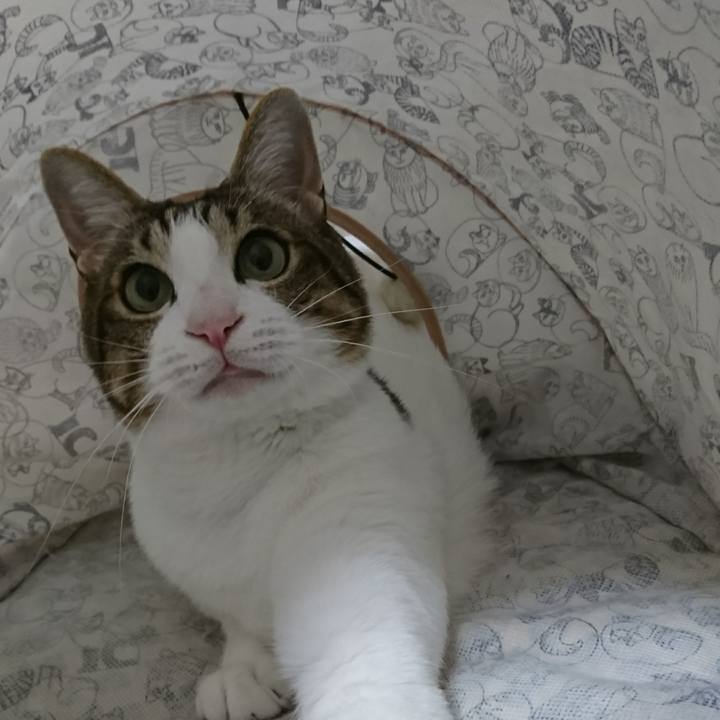 B8429d52 366c 4877 abd8 93c0b147387a