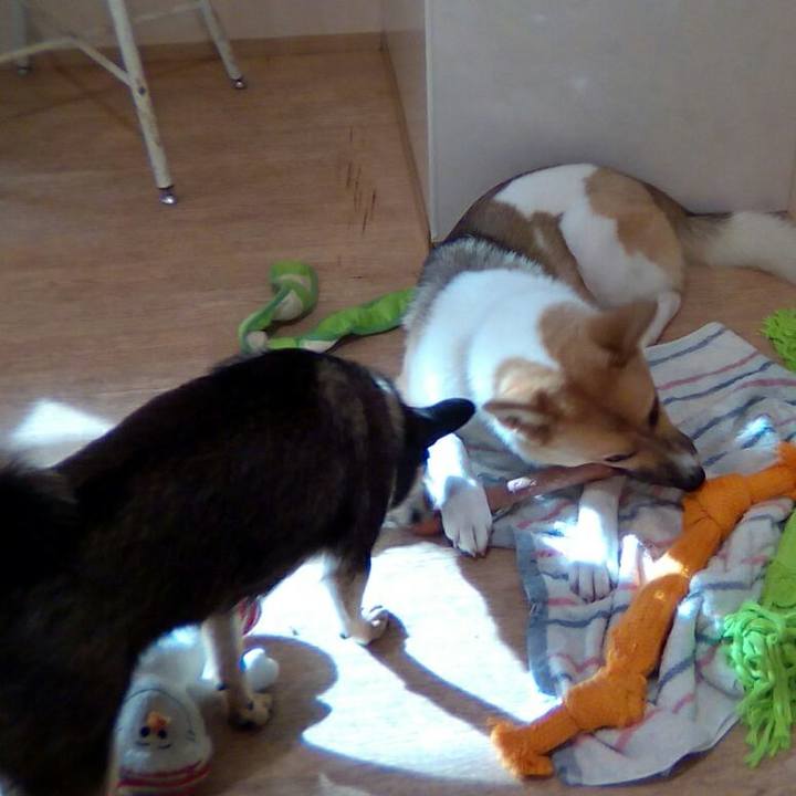 B842d90e 12d5 44bb be53 41e617647679