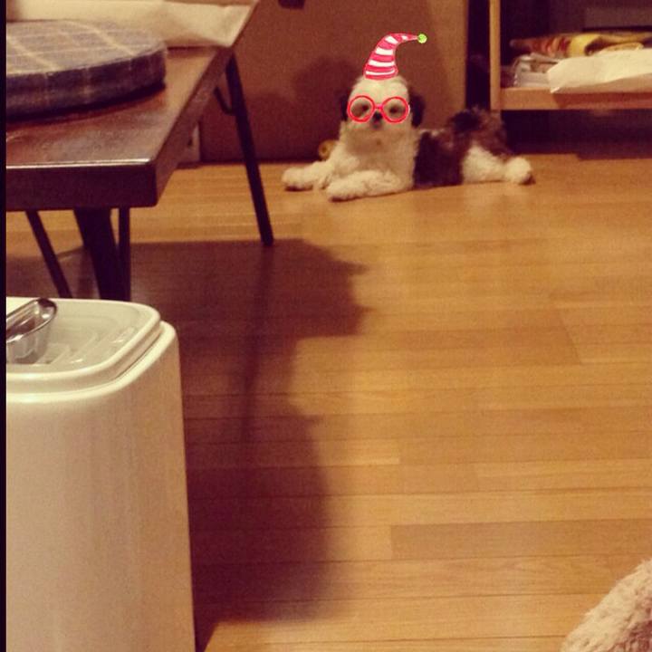 B8433d5f 8bdb 4aaf 9f22 5a1add9a6a25