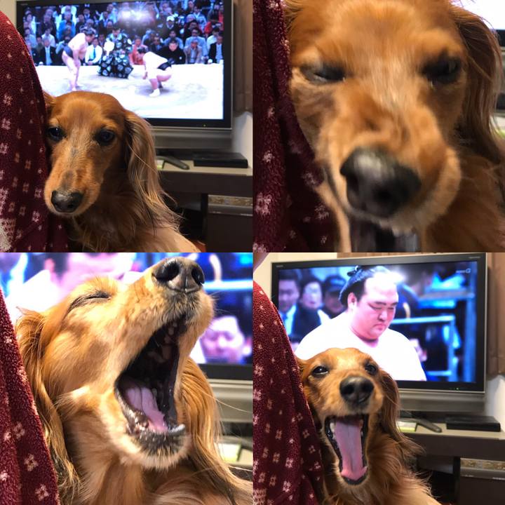 B8435e47 a6b8 4fab bdff 3596af882c5a